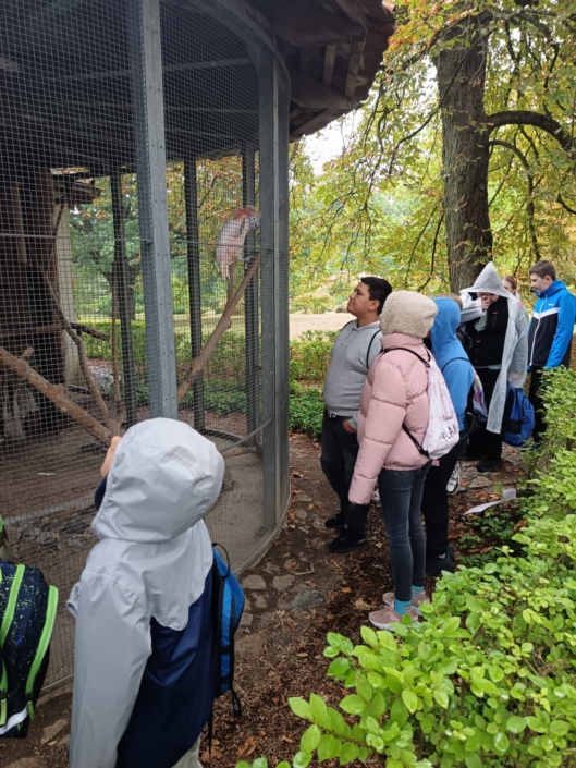 zámek Jemniště zámek Jemniště